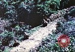 Image of United States Marines Saipan Northern Mariana Islands, 1944, second 13 stock footage video 65675062578