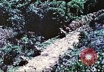 Image of United States Marines Saipan Northern Mariana Islands, 1944, second 14 stock footage video 65675062578
