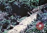 Image of United States Marines Saipan Northern Mariana Islands, 1944, second 15 stock footage video 65675062578