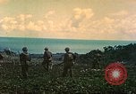Image of United States Marines Saipan Northern Mariana Islands, 1944, second 3 stock footage video 65675062579