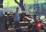 Image of United States Marines Saipan Northern Mariana Islands, 1944, second 32 stock footage video 65675062580