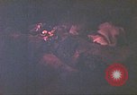 Image of Japanese prisoner Saipan Northern Mariana Islands, 1944, second 6 stock footage video 65675062581
