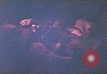 Image of Japanese prisoner Saipan Northern Mariana Islands, 1944, second 12 stock footage video 65675062581