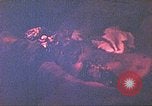 Image of Japanese prisoner Saipan Northern Mariana Islands, 1944, second 16 stock footage video 65675062581