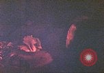 Image of Japanese prisoner Saipan Northern Mariana Islands, 1944, second 33 stock footage video 65675062581