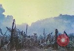 Image des Marines des États-Unis Saipan Îles Mariannes du Nord, 1944, de la seconde 4 séquences d'archives historiques vidéo 65675062584