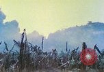 Image des Marines des États-Unis Saipan Îles Mariannes du Nord, 1944, de la seconde 7 séquences d'archives historiques vidéo 65675062584