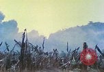 Image des Marines des États-Unis Saipan Îles Mariannes du Nord, 1944, de la seconde 8 séquences d'archives historiques vidéo 65675062584