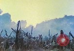 Image des Marines des États-Unis Saipan Îles Mariannes du Nord, 1944, de la seconde 10 séquences d'archives historiques vidéo 65675062584