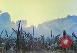 Image des Marines des États-Unis Saipan Îles Mariannes du Nord, 1944, de la seconde 11 séquences d'archives historiques vidéo 65675062584