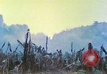 Image des Marines des États-Unis Saipan Îles Mariannes du Nord, 1944, de la seconde 16 séquences d'archives historiques vidéo 65675062584