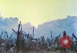 Image des Marines des États-Unis Saipan Îles Mariannes du Nord, 1944, de la seconde 17 séquences d'archives historiques vidéo 65675062584