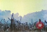 Image des Marines des États-Unis Saipan Îles Mariannes du Nord, 1944, de la seconde 18 séquences d'archives historiques vidéo 65675062584