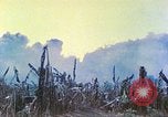 Image des Marines des États-Unis Saipan Îles Mariannes du Nord, 1944, de la seconde 21 séquences d'archives historiques vidéo 65675062584