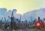 Image des Marines des États-Unis Saipan Îles Mariannes du Nord, 1944, de la seconde 22 séquences d'archives historiques vidéo 65675062584