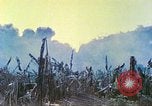 Image des Marines des États-Unis Saipan Îles Mariannes du Nord, 1944, de la seconde 24 séquences d'archives historiques vidéo 65675062584
