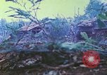 Image des Marines des États-Unis Saipan Îles Mariannes du Nord, 1944, de la seconde 58 séquences d'archives historiques vidéo 65675062585