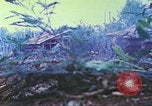 Image des Marines des États-Unis Saipan Îles Mariannes du Nord, 1944, de la seconde 60 séquences d'archives historiques vidéo 65675062585