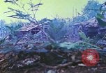 Image des Marines des États-Unis Saipan Îles Mariannes du Nord, 1944, de la seconde 61 séquences d'archives historiques vidéo 65675062585