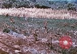 Image des Marines des États-Unis Saipan Îles Mariannes du Nord, 1944, de la seconde 20 séquences d'archives historiques vidéo 65675062586