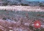 Image des Marines des États-Unis Saipan Îles Mariannes du Nord, 1944, de la seconde 21 séquences d'archives historiques vidéo 65675062586