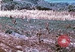 Image des Marines des États-Unis Saipan Îles Mariannes du Nord, 1944, de la seconde 22 séquences d'archives historiques vidéo 65675062586