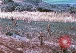 Image des Marines des États-Unis Saipan Îles Mariannes du Nord, 1944, de la seconde 23 séquences d'archives historiques vidéo 65675062586