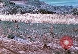 Image des Marines des États-Unis Saipan Îles Mariannes du Nord, 1944, de la seconde 24 séquences d'archives historiques vidéo 65675062586