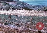 Image des Marines des États-Unis Saipan Îles Mariannes du Nord, 1944, de la seconde 25 séquences d'archives historiques vidéo 65675062586