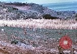 Image des Marines des États-Unis Saipan Îles Mariannes du Nord, 1944, de la seconde 28 séquences d'archives historiques vidéo 65675062586