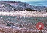 Image des Marines des États-Unis Saipan Îles Mariannes du Nord, 1944, de la seconde 30 séquences d'archives historiques vidéo 65675062586