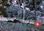 Image des Marines des États-Unis Saipan Îles Mariannes du Nord, 1944, de la seconde 32 séquences d'archives historiques vidéo 65675062586