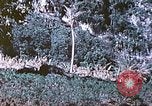 Image des Marines des États-Unis Saipan Îles Mariannes du Nord, 1944, de la seconde 33 séquences d'archives historiques vidéo 65675062586