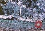 Image des Marines des États-Unis Saipan Îles Mariannes du Nord, 1944, de la seconde 34 séquences d'archives historiques vidéo 65675062586