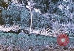 Image des Marines des États-Unis Saipan Îles Mariannes du Nord, 1944, de la seconde 35 séquences d'archives historiques vidéo 65675062586