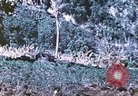 Image des Marines des États-Unis Saipan Îles Mariannes du Nord, 1944, de la seconde 36 séquences d'archives historiques vidéo 65675062586