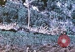 Image des Marines des États-Unis Saipan Îles Mariannes du Nord, 1944, de la seconde 37 séquences d'archives historiques vidéo 65675062586