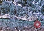 Image des Marines des États-Unis Saipan Îles Mariannes du Nord, 1944, de la seconde 38 séquences d'archives historiques vidéo 65675062586
