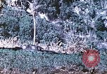 Image des Marines des États-Unis Saipan Îles Mariannes du Nord, 1944, de la seconde 40 séquences d'archives historiques vidéo 65675062586