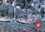 Image des Marines des États-Unis Saipan Îles Mariannes du Nord, 1944, de la seconde 41 séquences d'archives historiques vidéo 65675062586
