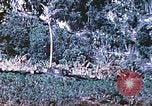 Image des Marines des États-Unis Saipan Îles Mariannes du Nord, 1944, de la seconde 42 séquences d'archives historiques vidéo 65675062586