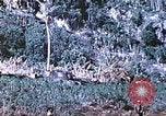 Image des Marines des États-Unis Saipan Îles Mariannes du Nord, 1944, de la seconde 43 séquences d'archives historiques vidéo 65675062586