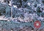 Image des Marines des États-Unis Saipan Îles Mariannes du Nord, 1944, de la seconde 44 séquences d'archives historiques vidéo 65675062586