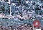 Image des Marines des États-Unis Saipan Îles Mariannes du Nord, 1944, de la seconde 45 séquences d'archives historiques vidéo 65675062586