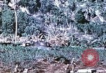 Image des Marines des États-Unis Saipan Îles Mariannes du Nord, 1944, de la seconde 47 séquences d'archives historiques vidéo 65675062586