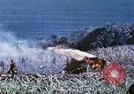 Image des Marines des États-Unis Saipan Îles Mariannes du Nord, 1944, de la seconde 57 séquences d'archives historiques vidéo 65675062586