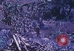Standbild Vereinigten Staaten Marines Saipan Nördliche Marianen, 1944, aus Sekunde 14 historischem Filmmaterial Videoclip 65675062587