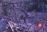Standbild Vereinigten Staaten Marines Saipan Nördliche Marianen, 1944, aus Sekunde 17 historischem Filmmaterial Videoclip 65675062587