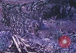 Standbild Vereinigten Staaten Marines Saipan Nördliche Marianen, 1944, aus Sekunde 18 historischem Filmmaterial Videoclip 65675062587
