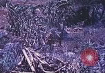Standbild Vereinigten Staaten Marines Saipan Nördliche Marianen, 1944, aus Sekunde 19 historischem Filmmaterial Videoclip 65675062587
